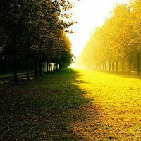 微信头像秋天风景图片(24张)