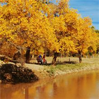 微信头像秋天风景图片(24张)