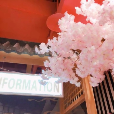 创意的唯美风景头像(24张)