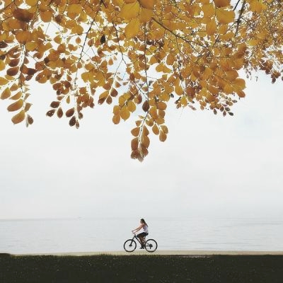 创意的唯美风景头像(24张)