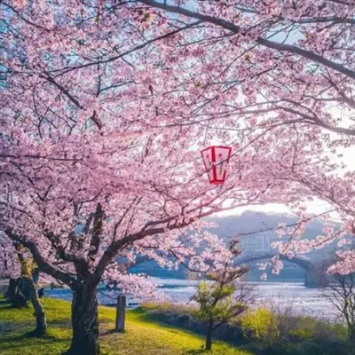 高清有内涵的风景头像图片(精选24张)