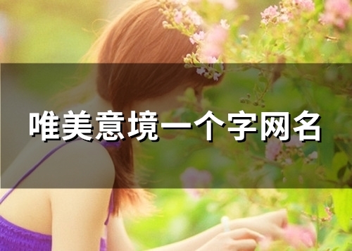 唯美意境一个字网名(32个)