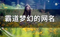 霸道梦幻的网名(80个)