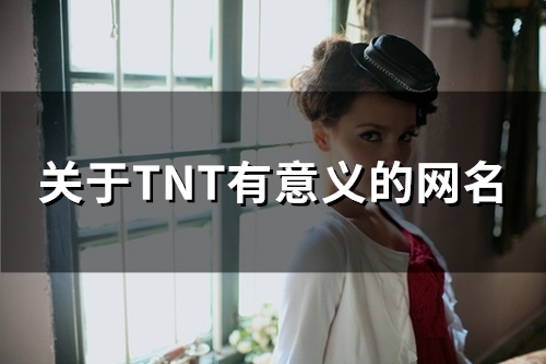 关于TNT有意义的网名(96个)