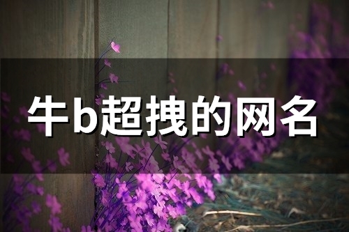 牛b超拽的网名(91个)