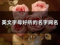 英文字母好听的名字网名(精选87个)