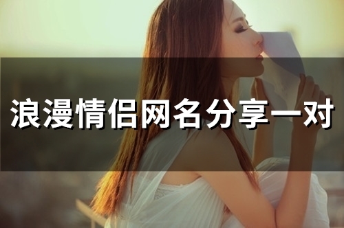 浪漫情侣网名分享一对(精选109个) 浪漫情侣网名分享一对(精选109个)