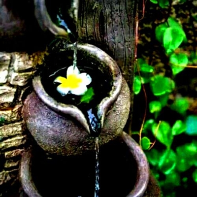 修行人静心修心莲花淡雅禅意图片头像(精选24张)