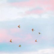 高清粉红唯美风景头像图片(精选24张)