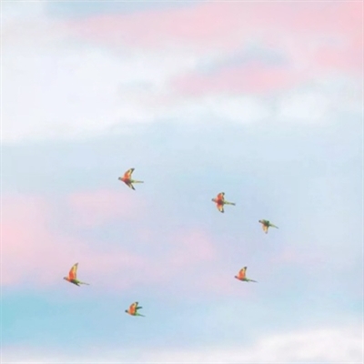 高清粉红唯美风景头像图片(精选24张)