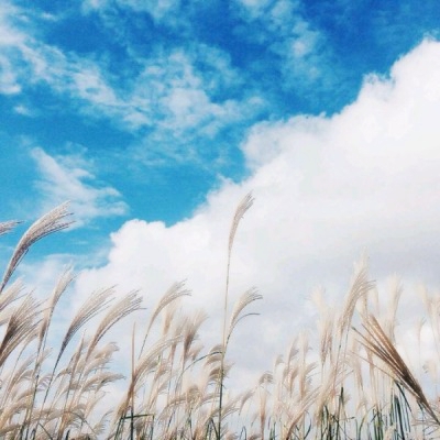 高清粉红唯美风景头像图片(精选24张)