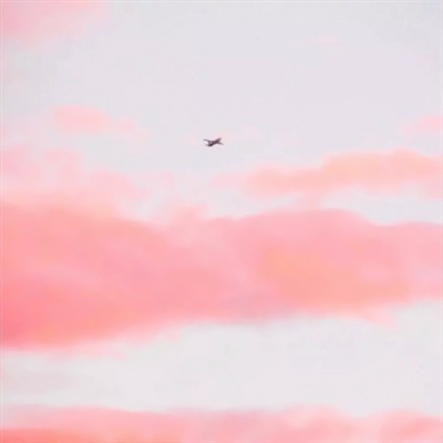 高清粉红唯美风景头像图片(精选24张)