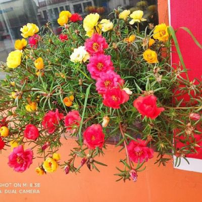 中年人微信头像风景图片(精选28张)