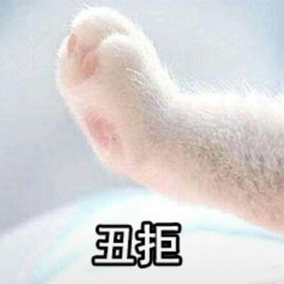 高清很逗情侣头像两人两张28张)