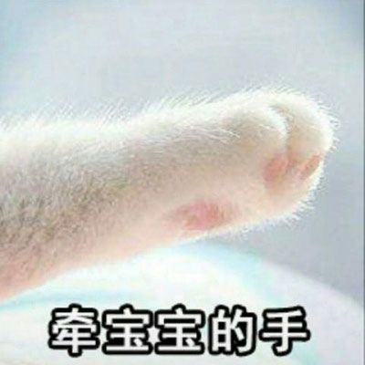 高清很逗情侣头像两人两张28张)