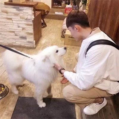 高清潮流情侣头像两张图片(24张)