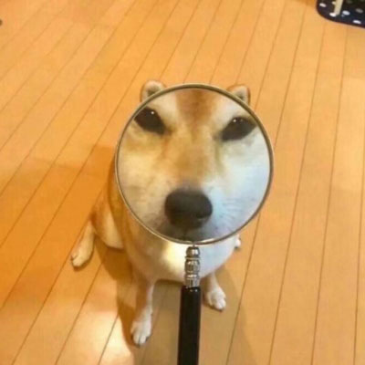 情侣头像搞笑可爱头像(精选24张)