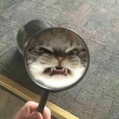 情侣头像搞笑可爱头像(精选24张)