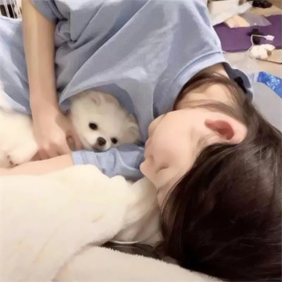 对象是动物系列情头图片(精选20张)