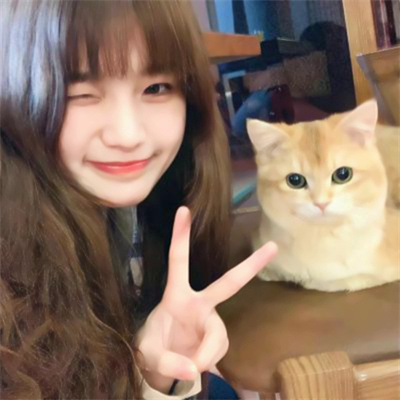 对象是动物系列情头图片(精选20张)