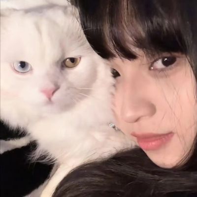 对象是动物系列情头图片(精选20张)