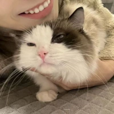 对象是动物系列情头图片(精选20张)