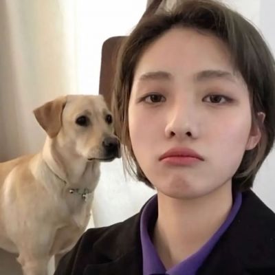 对象是动物系列情头图片(精选20张)