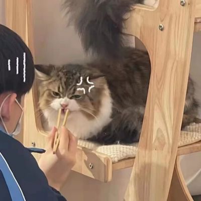 情侣头像甜宠头像(28张)