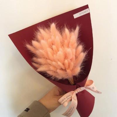 最好看鲜花的微信头像图片(21张)