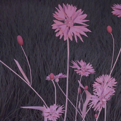 唯美意境风景微信头像(24张)