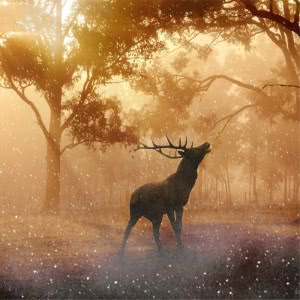 高清高端大气上档次的风景头像图片(精选24张)