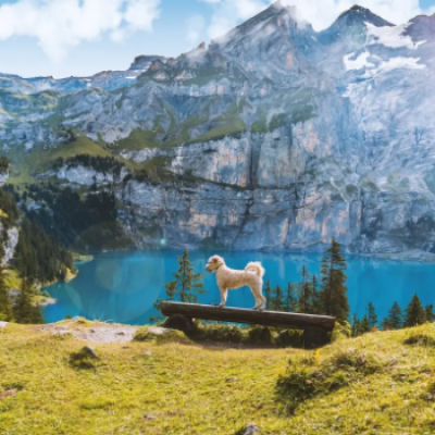 高清高端大气上档次的风景头像图片(精选24张)