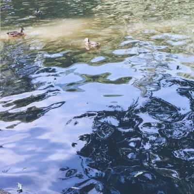 高清高端大气上档次的风景头像图片(精选24张)