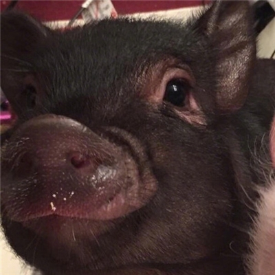 搞笑情侣头像一左一右图片(16张)