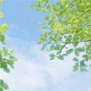 唯美高雅有诗意的微信头像图片大全(24张)