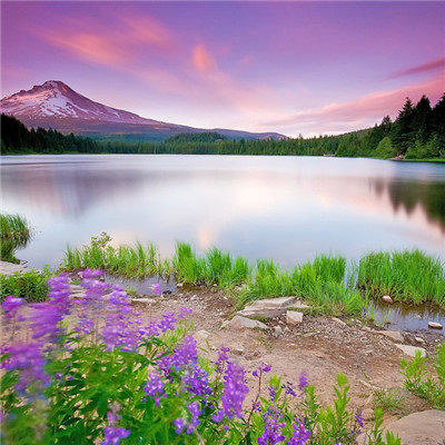 唯美高雅有诗意的微信头像图片大全(24张)