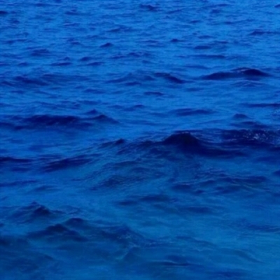 唯美高雅有诗意的微信头像图片大全(24张)