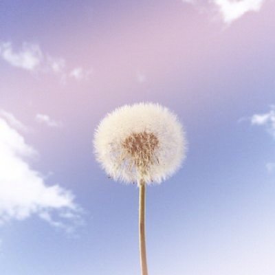 唯美风景粉色天空头像女(精选16张)