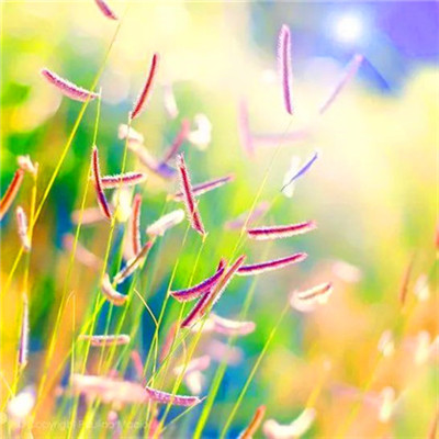 微信头像图片2023最新款云(26张)