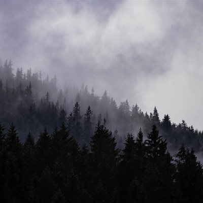 微信头像云雾缭绕图片(24张)