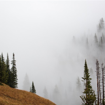 微信头像云雾缭绕图片(24张)