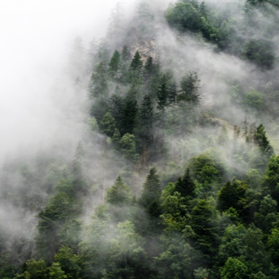 微信头像云雾缭绕图片(24张)