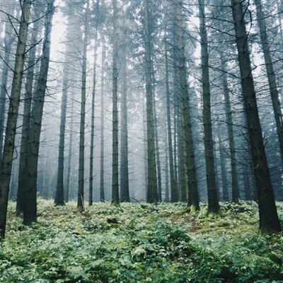 微信头像云雾缭绕图片(24张)