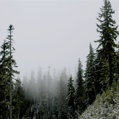 微信头像云雾缭绕图片(24张)