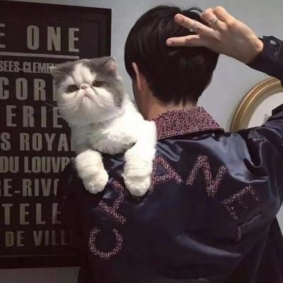 男生抱宠物头像(精选18张)