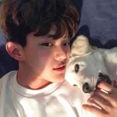 男生抱宠物头像(精选18张)