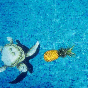 夏季清凉微信头像图片大全集(18张)