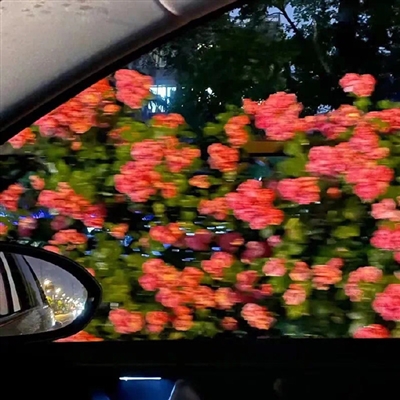 夏天风景头像(精选21张)