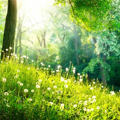 能让人心情阳光的头像(14张)