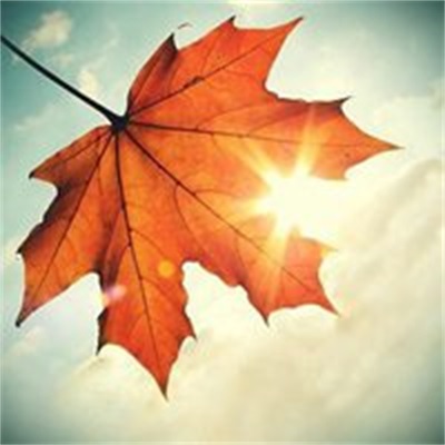 能让人心情阳光的头像(14张)